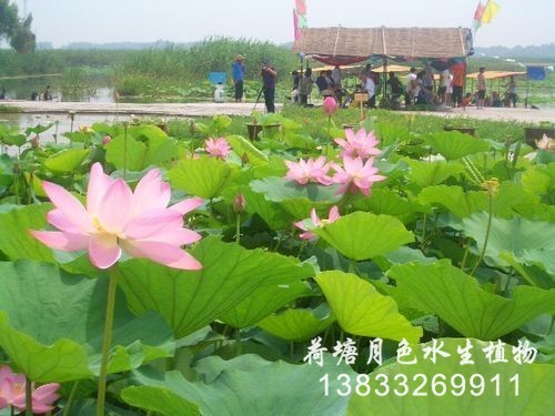 大連工程