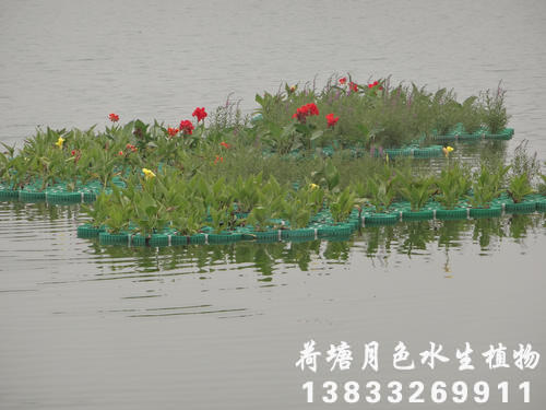 人工浮島6