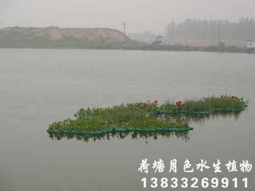 人工浮島5