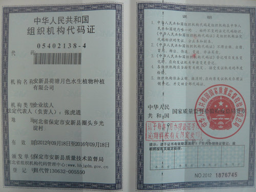 中華人民共和國組織機構代碼證