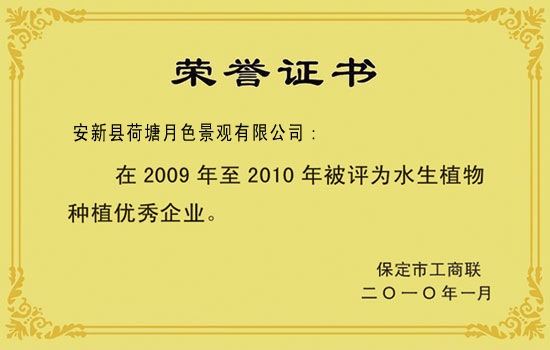 榮譽證書
