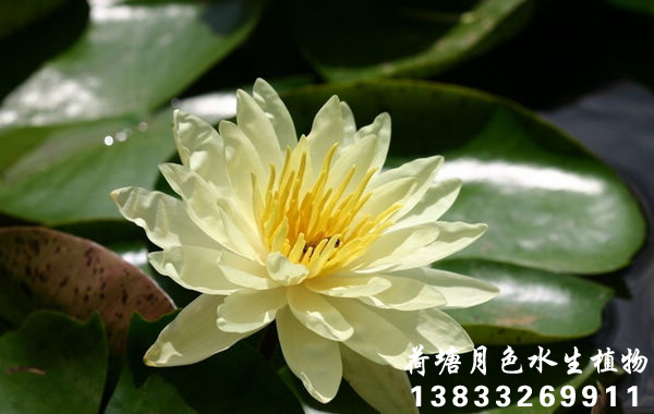 黃91看片污下载
