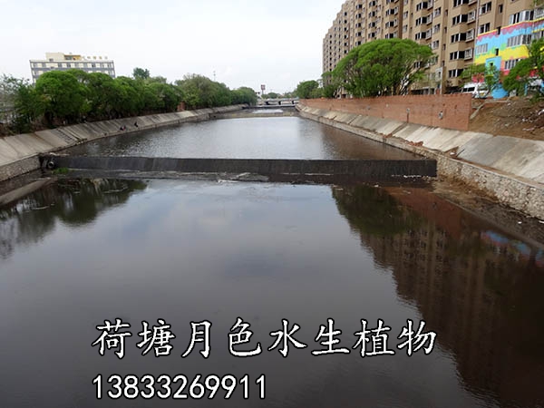 北票黃杖子河工程施工前