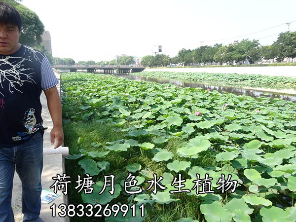 北票黃杖子河工程施工後3