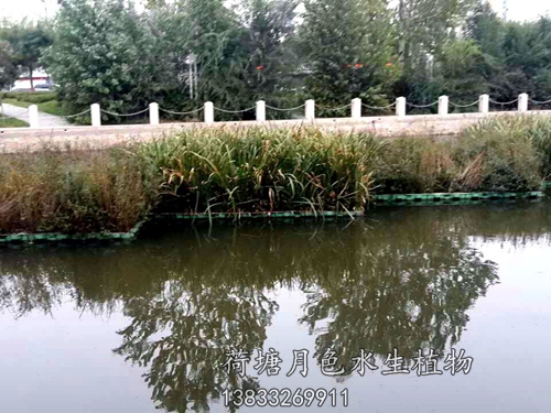 盤錦市螃蟹溝人工浮島工程