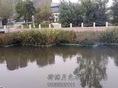 盤錦市螃蟹溝人工浮島工程
