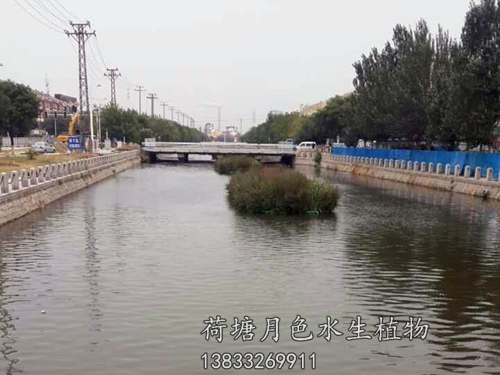 盤錦市螃蟹溝人工浮島工程