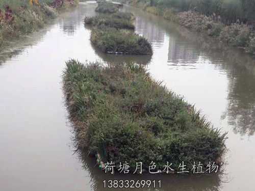 盤錦市螃蟹溝人工浮島工程