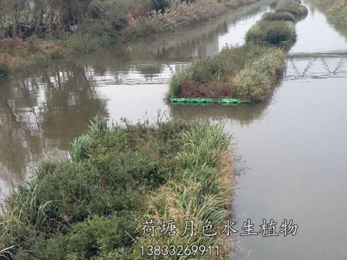 盤錦市螃蟹溝人工浮島工程