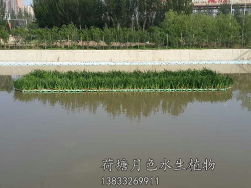 盤錦市螃蟹溝人工浮島工程