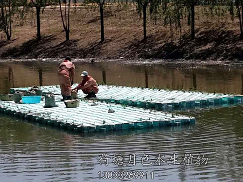 盤錦市螃蟹溝人工浮島工程