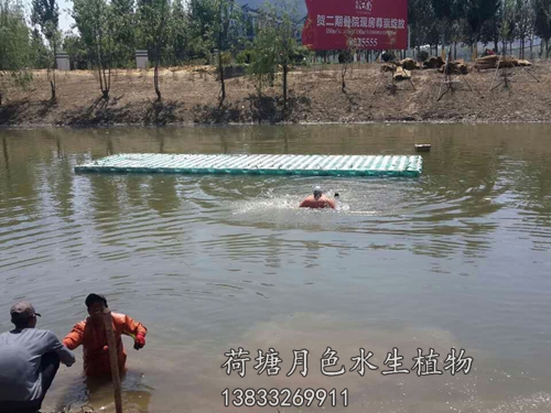 盤錦市螃蟹溝人工浮島工程