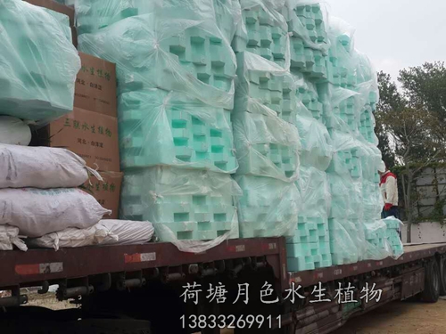 盤錦市螃蟹溝人工浮島工程