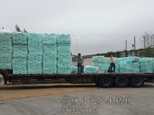 盤錦市螃蟹溝人工浮島工程